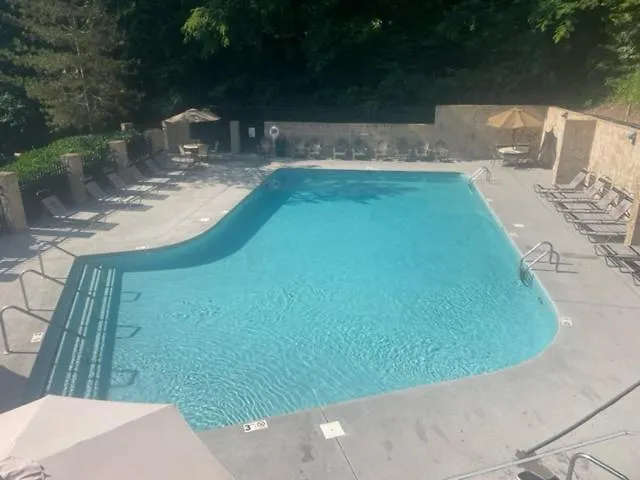 Mountain Splash, Private Pool, Theater Room, 1089 Free Tickets Each Paid Day, Dollywood And Pigeon Forge