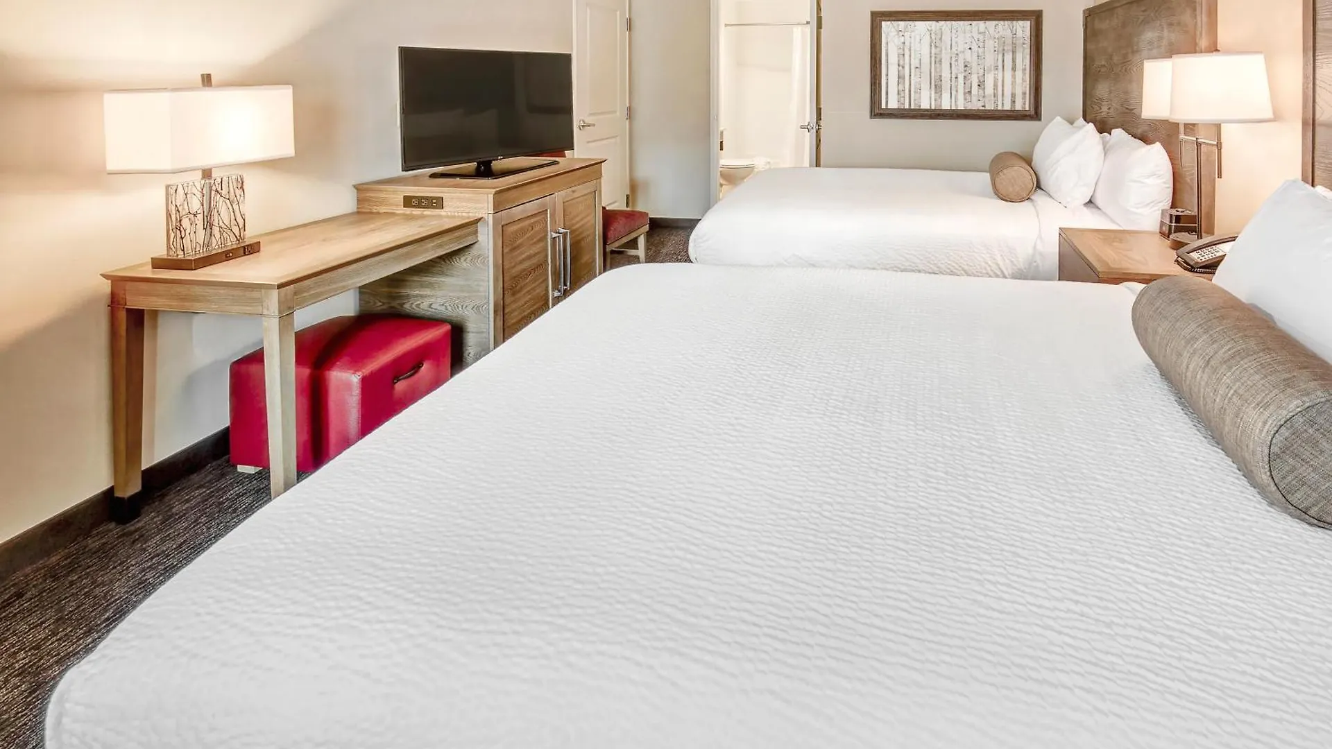 Hotel Black Fox Pigeon Forge, Tapestry Collection By Hilton 4*