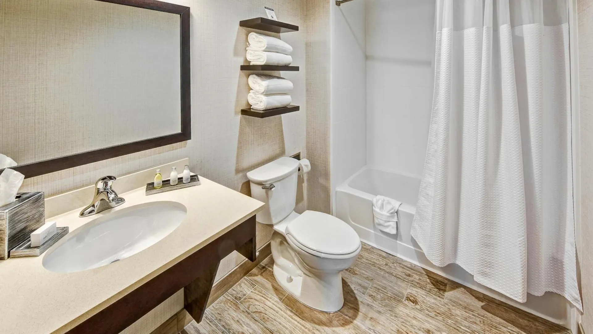 Black Fox Pigeon Forge, Tapestry Collection By Hilton 4*