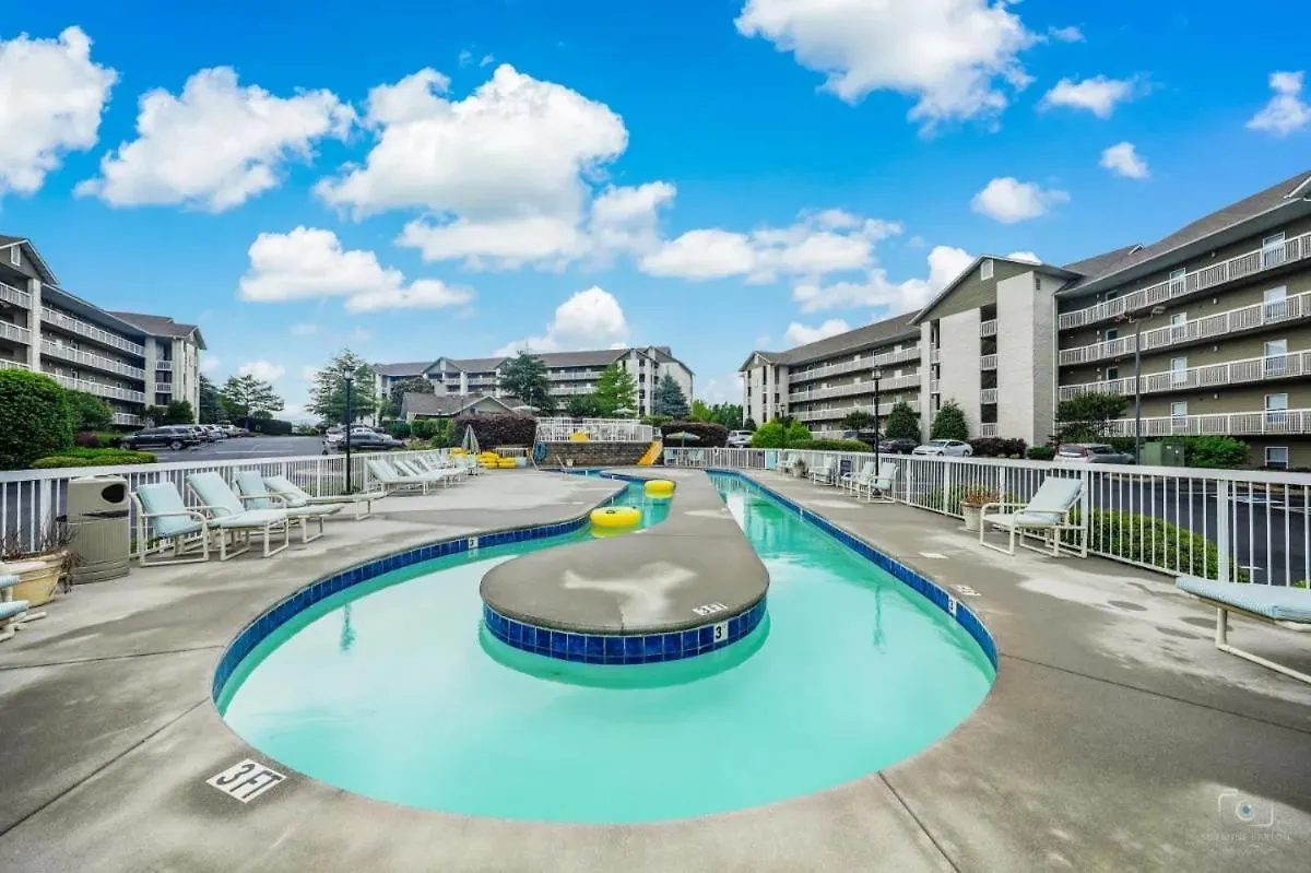 Wp241 Perfection Pigeon Forge