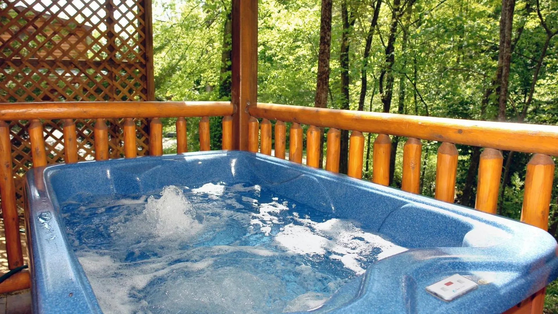 Prázdninový dům Skinny Dippin' #261