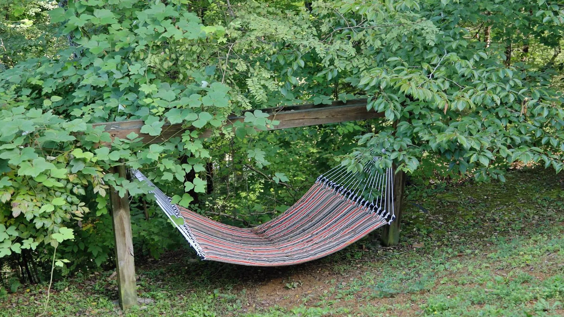 Walnut Grove By Eden Crest