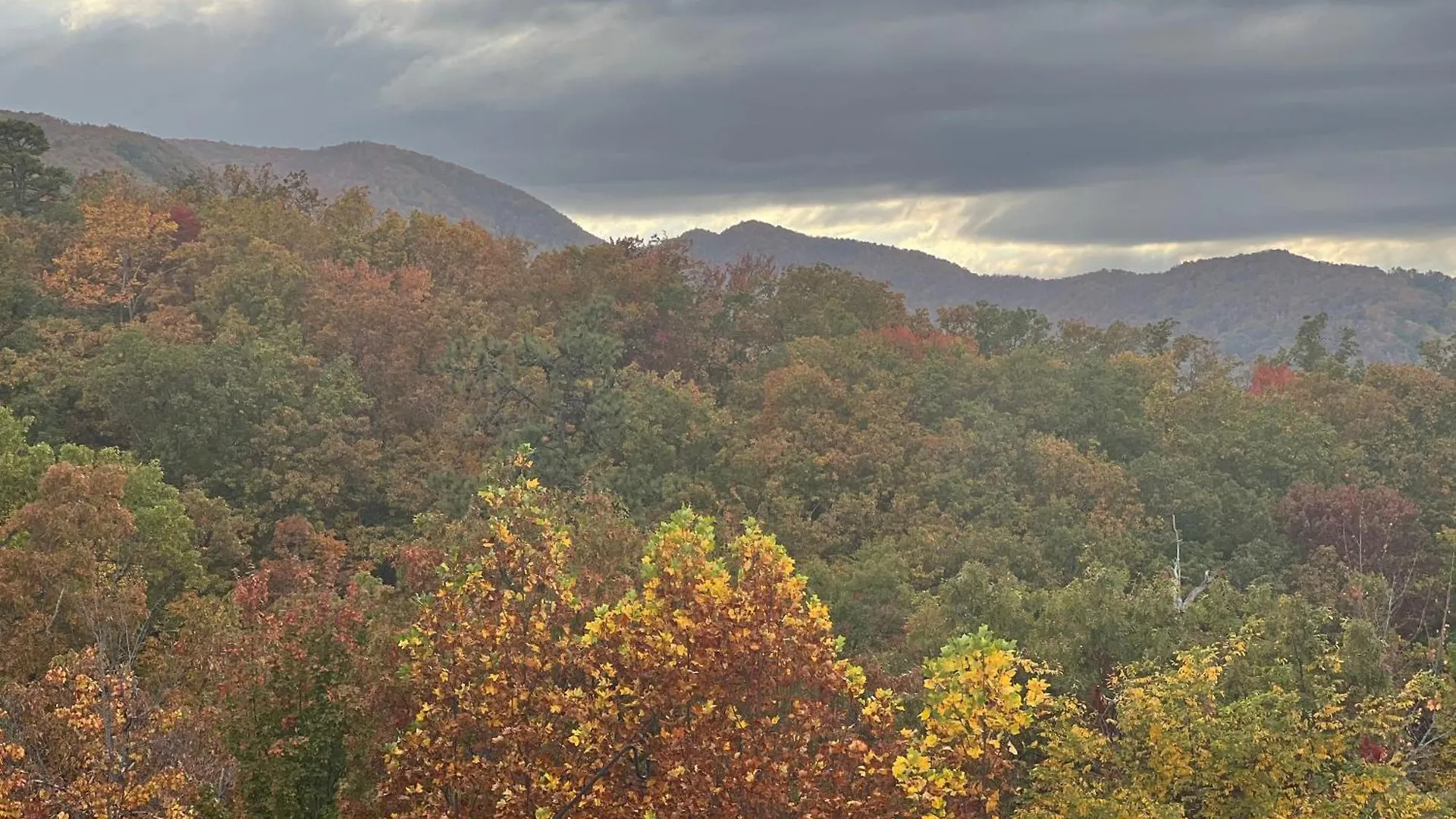 Smoky - Glowing Twilight Pigeon Forge