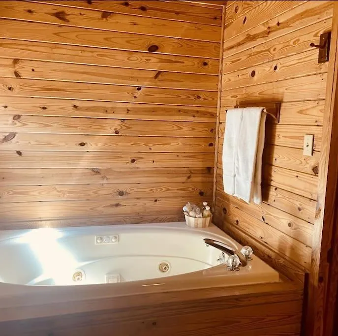 Rustic Black Bear Holiday home Pigeon Forge