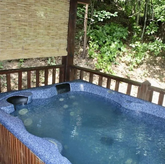 Rustic Black Bear Casa vacanze *