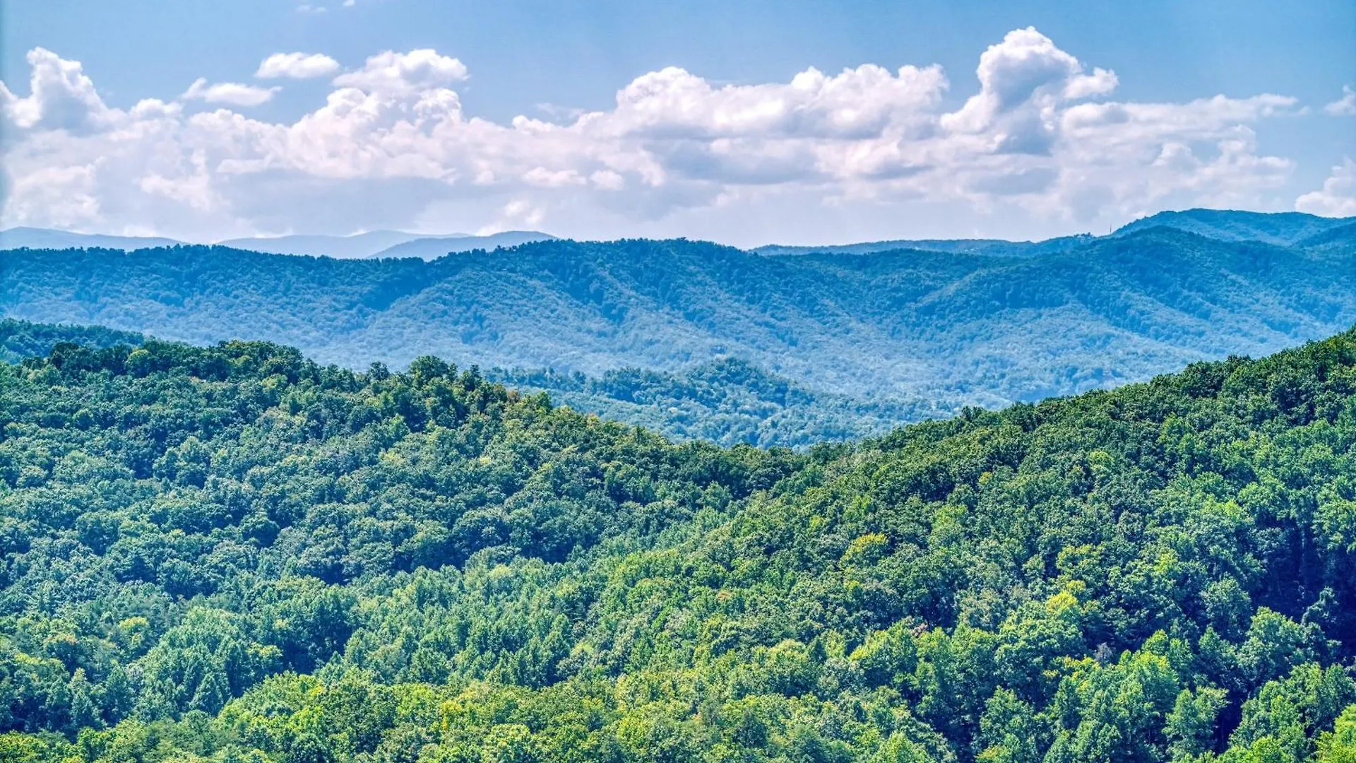 Holiday home Bear-e-nice - In Pigeon Forge, Pool, Free Attraction Tickets Pigeon Forge