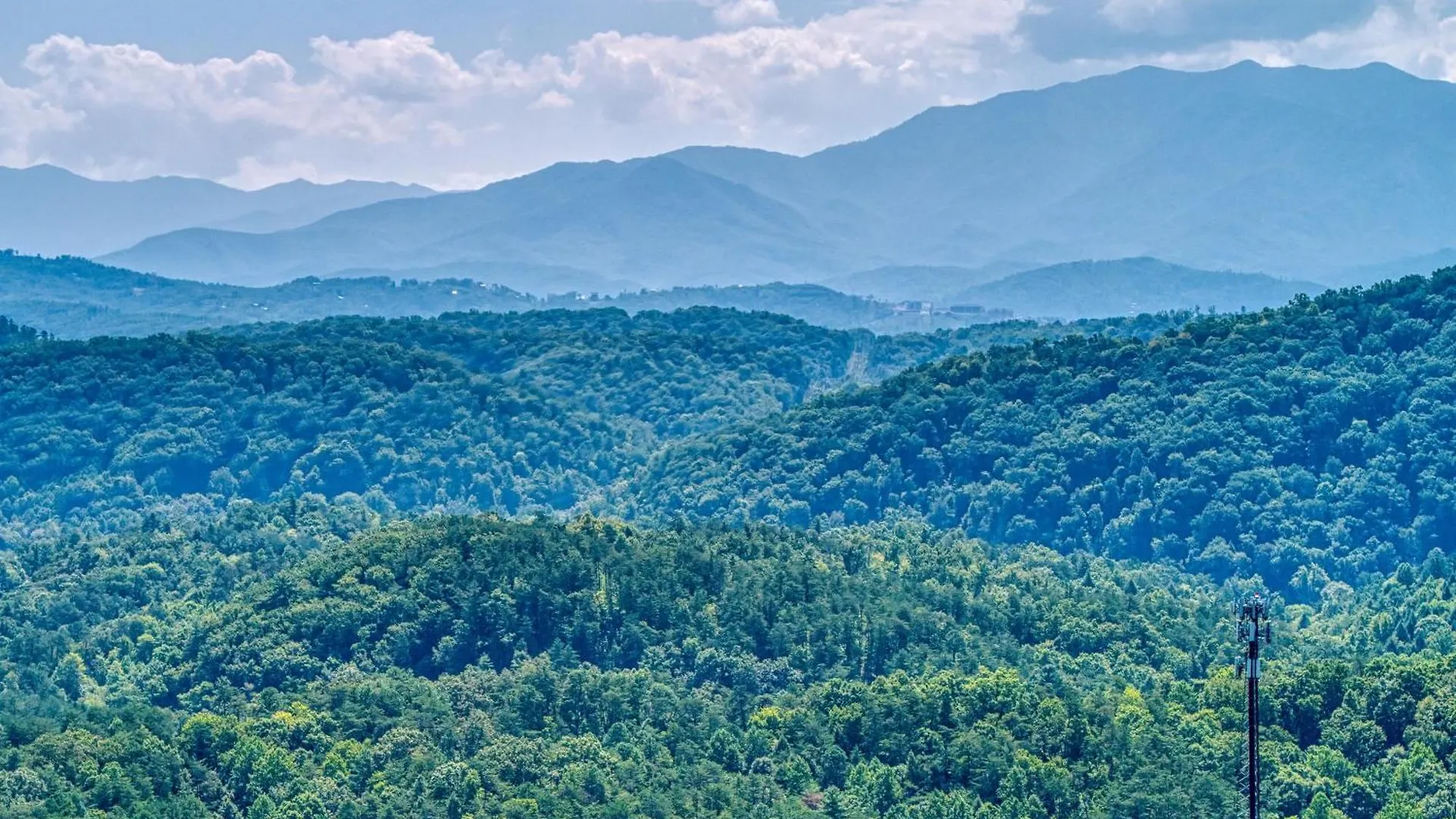 Bear-e-nice - In Pigeon Forge, Pool, Free Attraction Tickets *