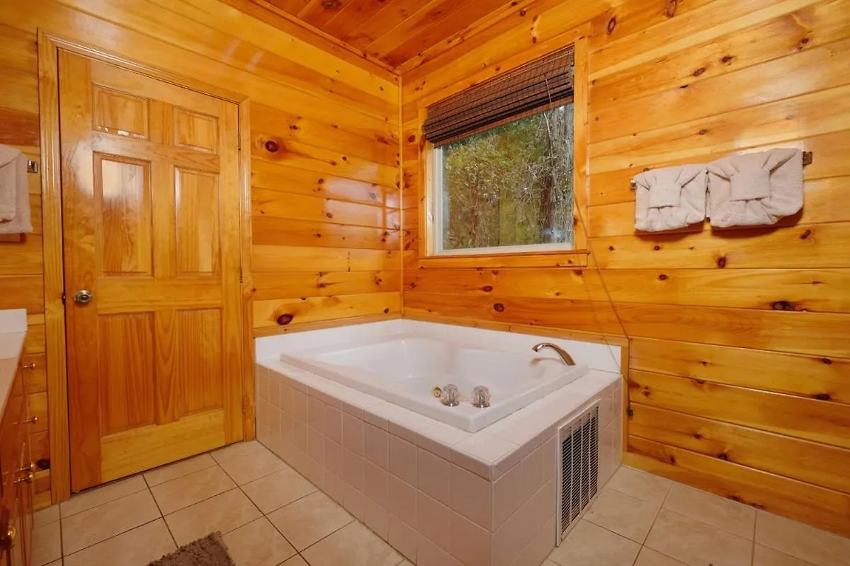 Spacious 5br Sleeps 18 Gameroom Theater Views Free Attraction Tickets *