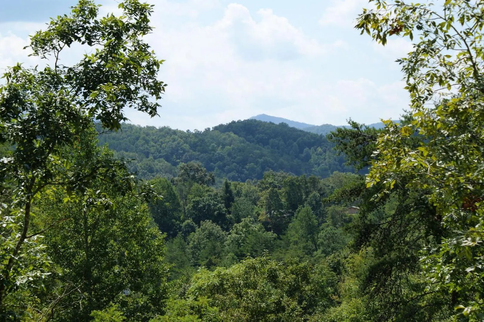Cozy 2br Just 10 Min To Pkwy! Pigeon Forge