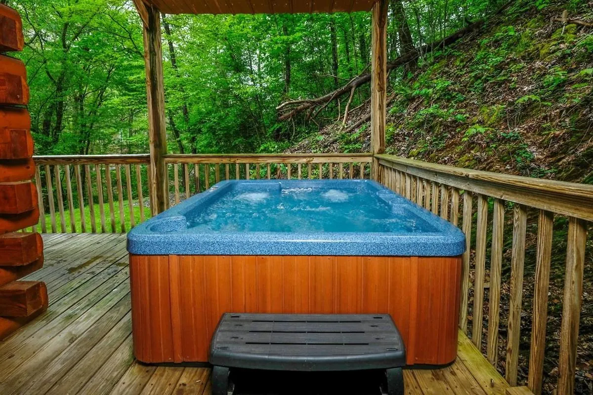Holiday home Cozy 2br Just 5 Min To Dollywood Hot Tub Free Attraction Tickets