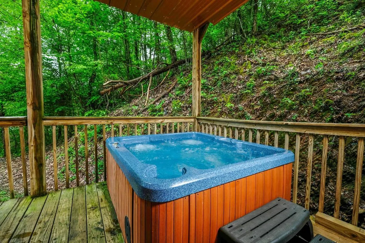 Holiday home Cozy 2br Just 5 Min To Dollywood Hot Tub Free Attraction Tickets Pigeon Forge