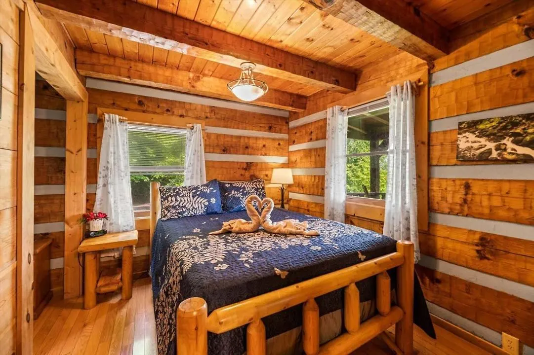 Black Bear'S Den By Colonial Properties Holiday home Pigeon Forge