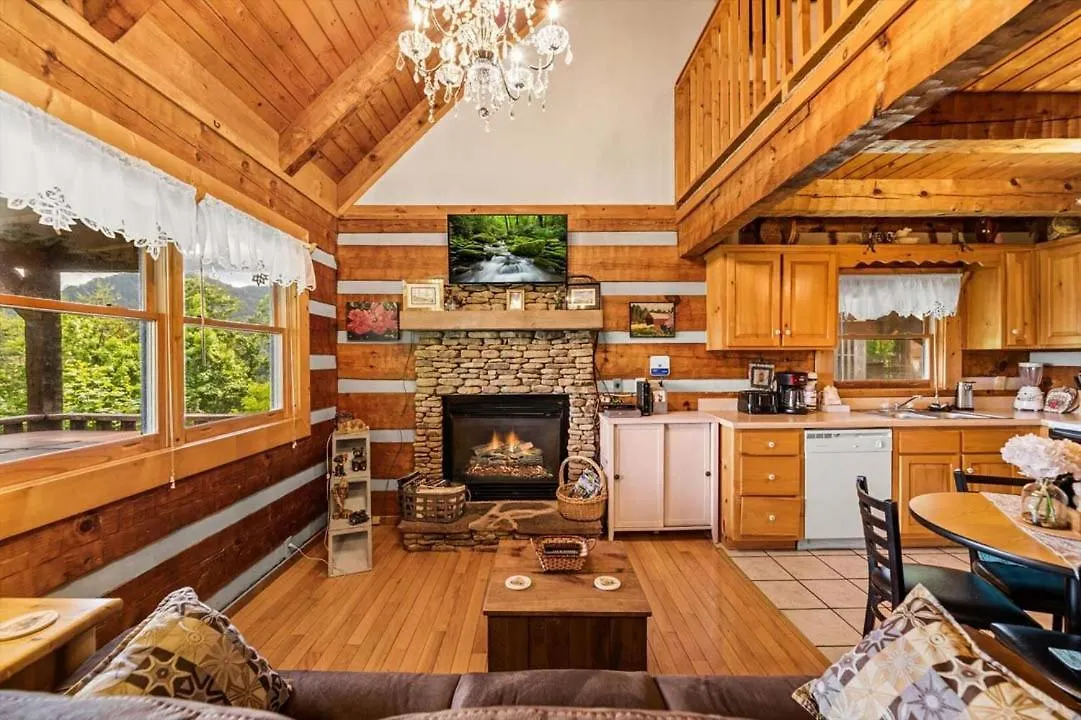 Black Bear'S Den By Colonial Properties Pigeon Forge