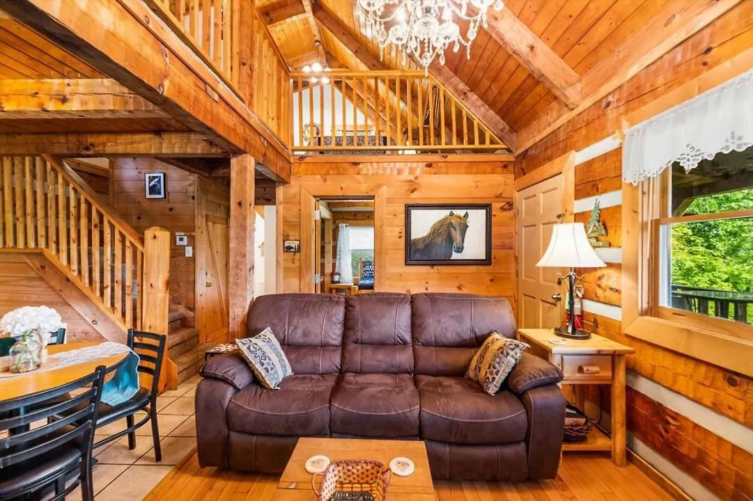 Black Bear'S Den By Colonial Properties Holiday home