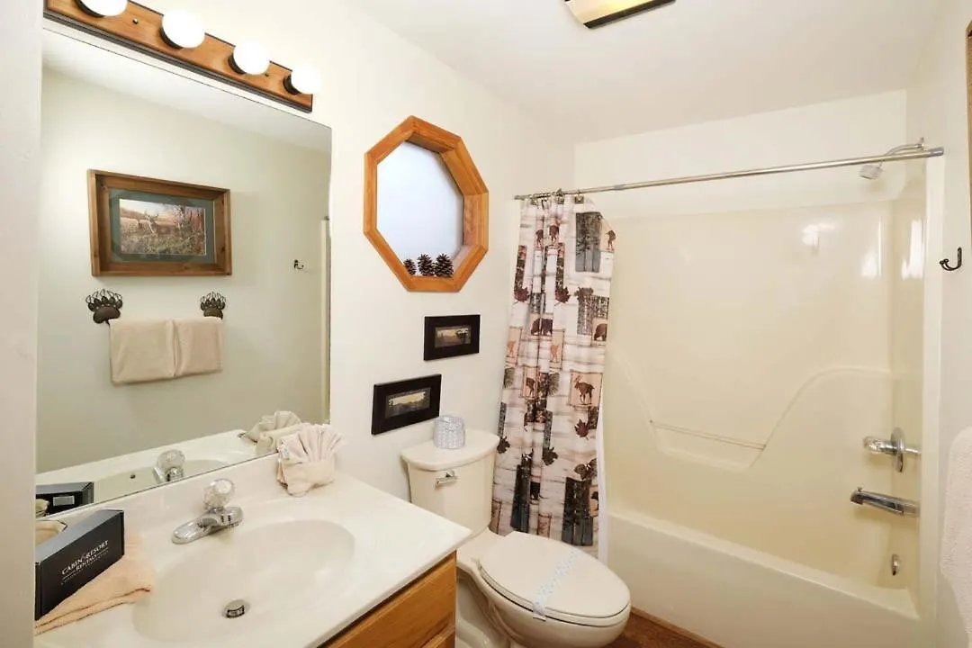 Beauty And The Bear By Colonial Properties Holiday home Pigeon Forge