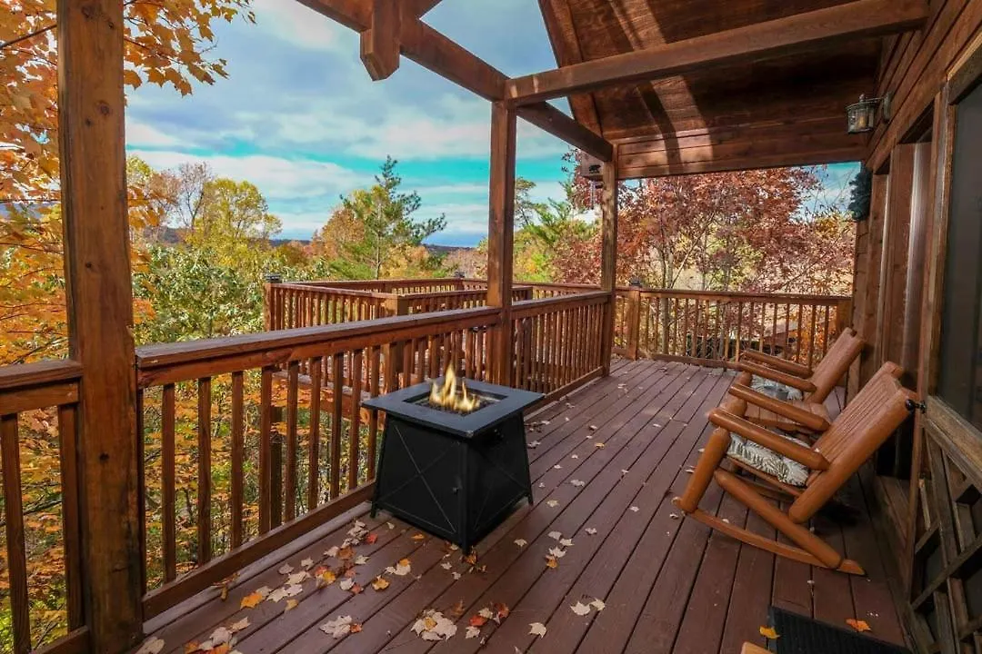 Beauty And The Bear By Colonial Properties *