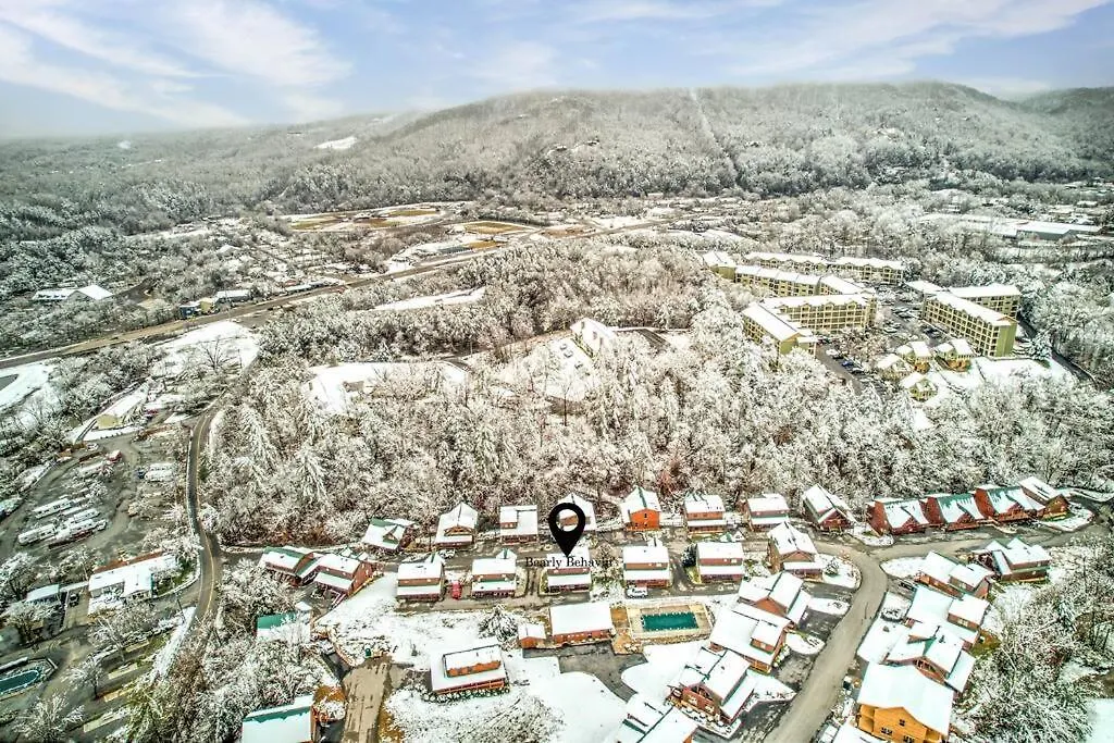 Holiday home Bearly Behavin Pigeon Forge