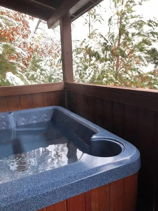 Moon Shadow - Beautiful 1 Mile From Parkway * Pigeon Forge