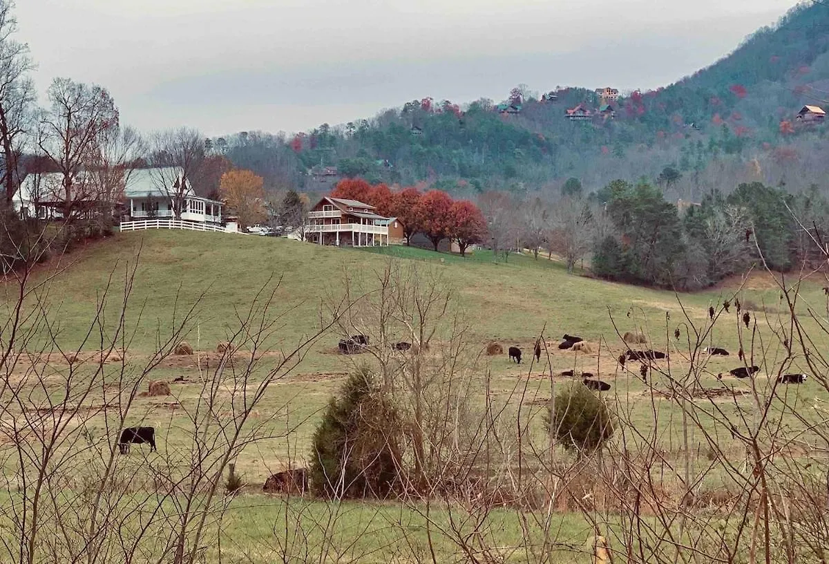 Holiday home Heartwood Lavish In The Smoky Mountains *