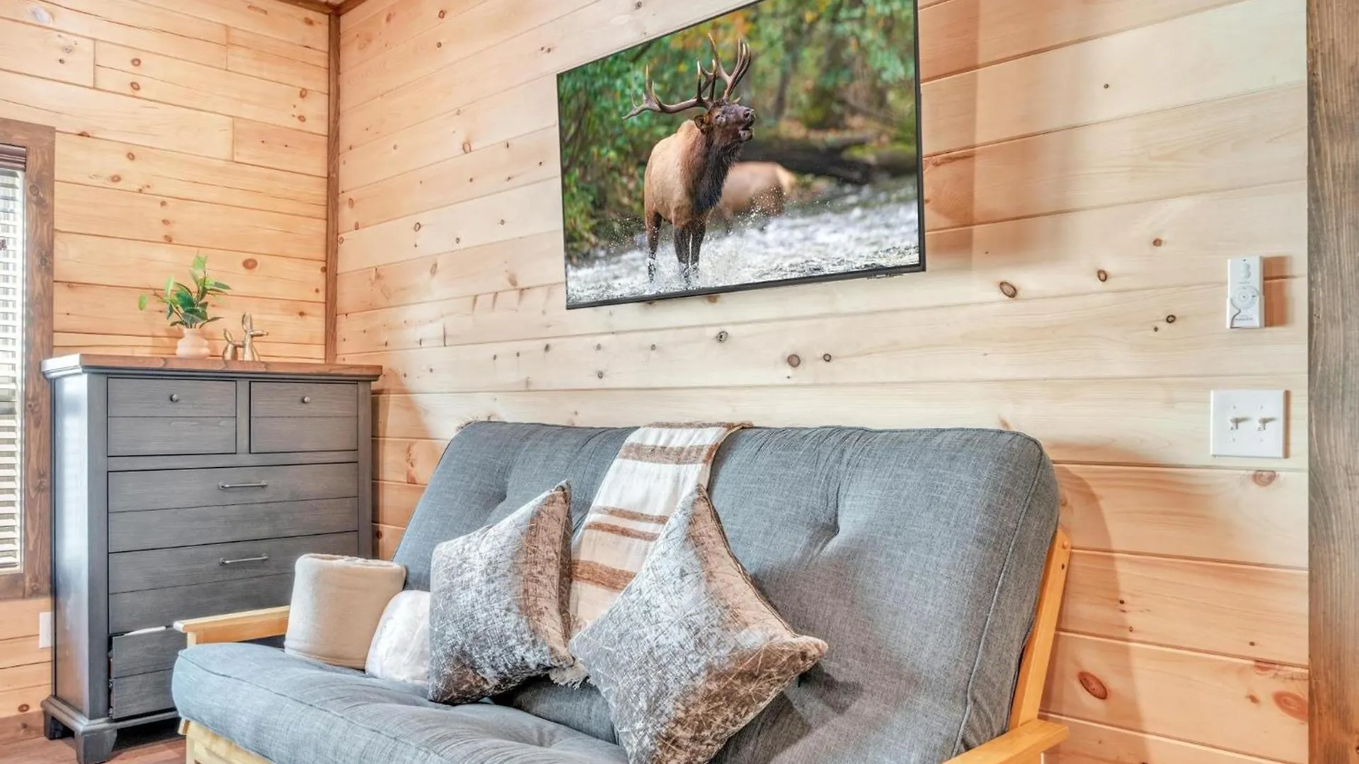 Ern803 - Beary Blue Oasis Holiday home Pigeon Forge