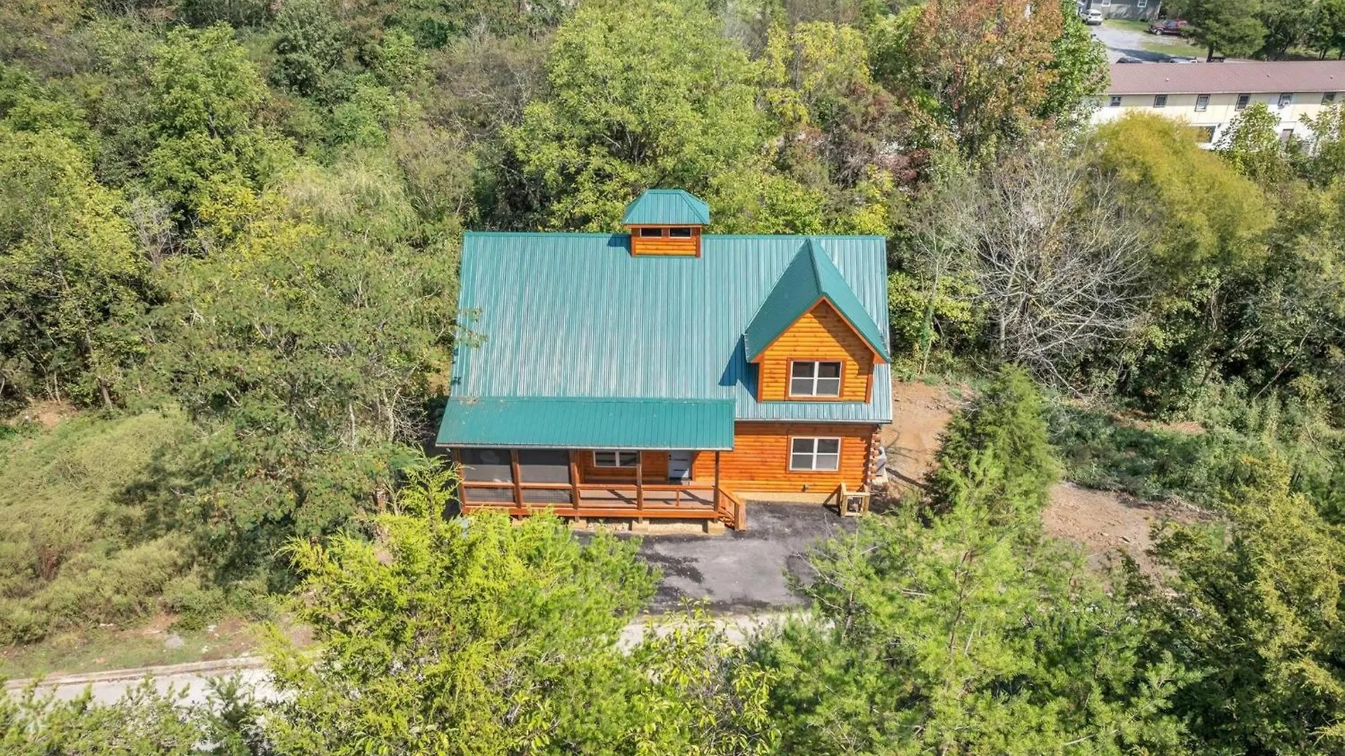 Ern803 - Beary Blue Oasis Pigeon Forge