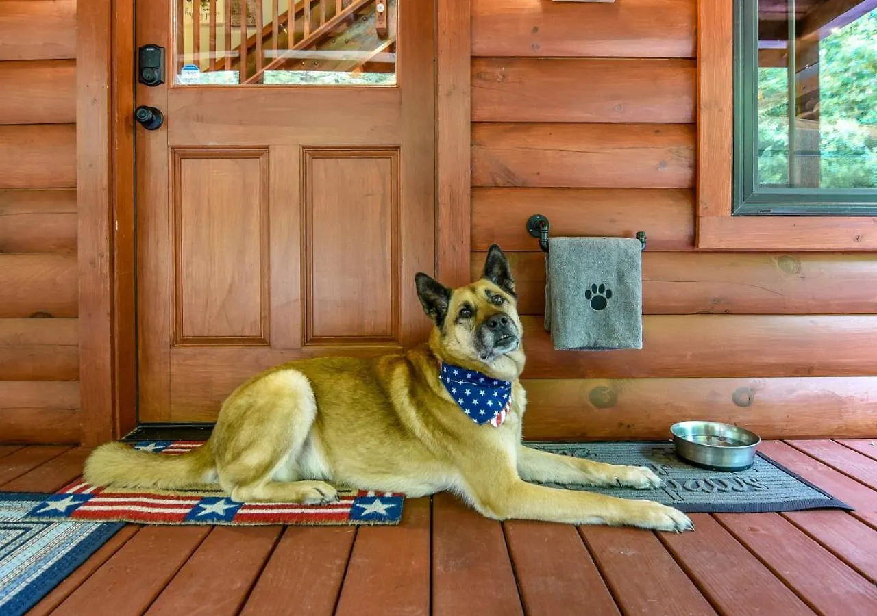 Veteran Host Pets Allowed Sleeps 4 No Minimum Nights Holiday home