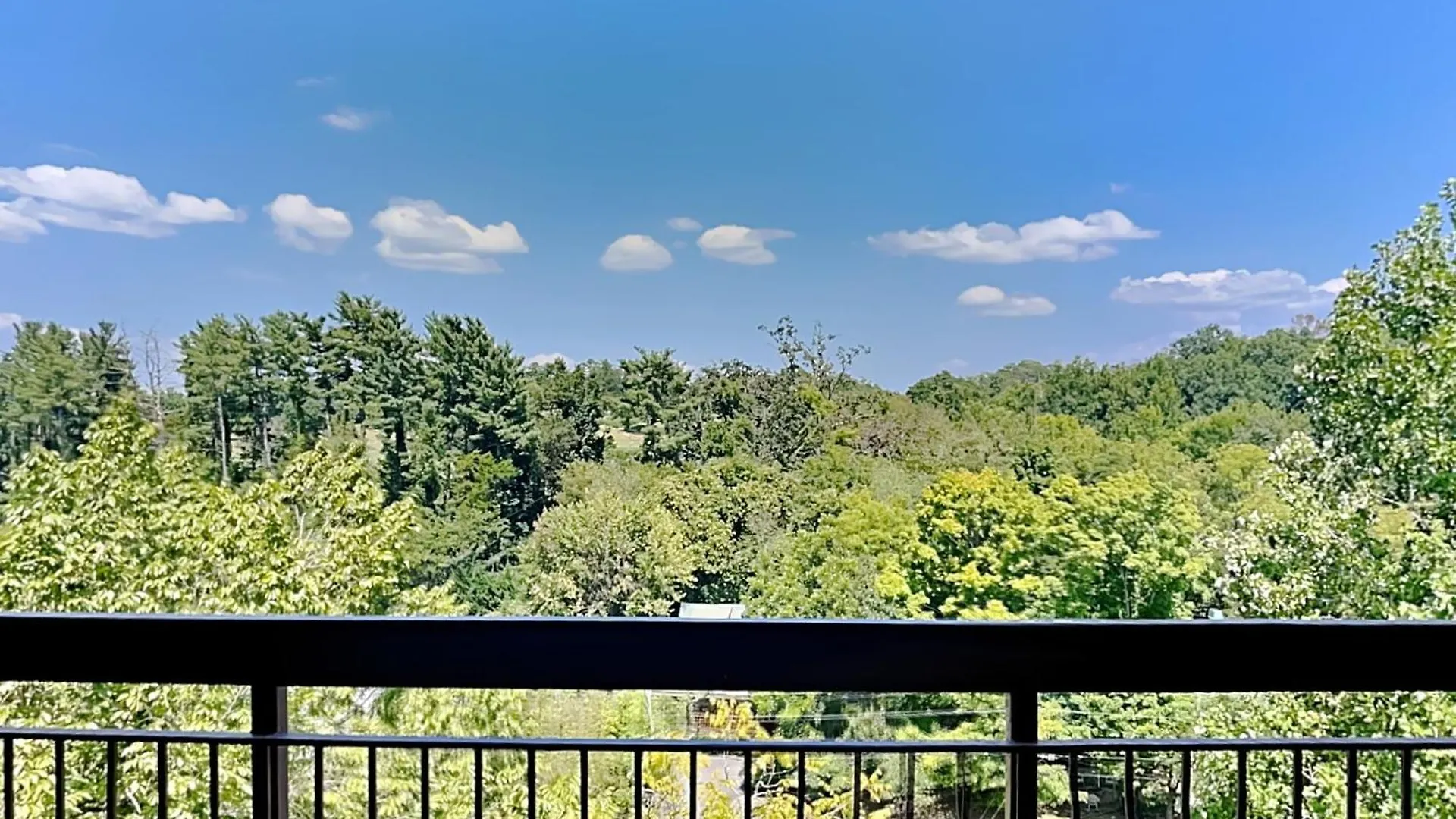 Relaxing River Cedar 704 Pigeon Forge
