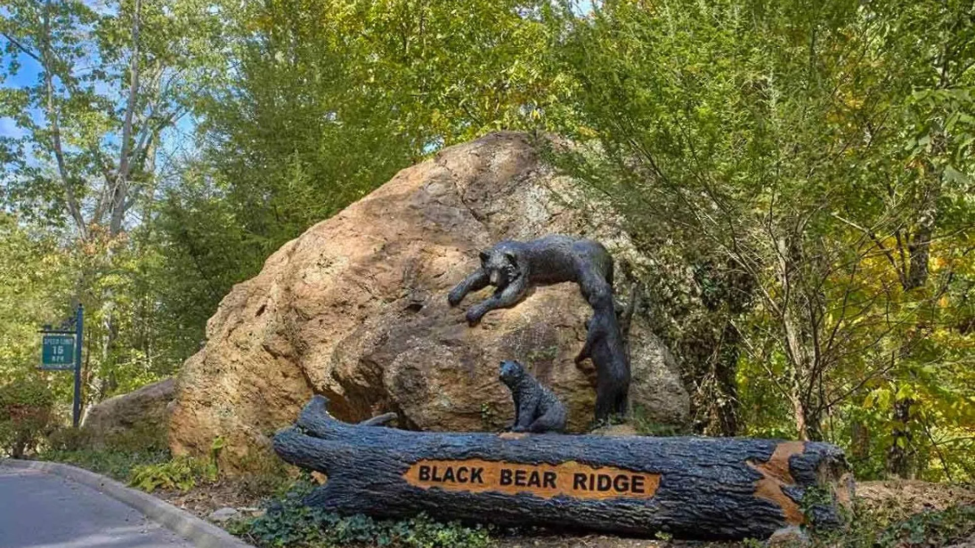 Black Bear Ridge Resort: Awesome Views