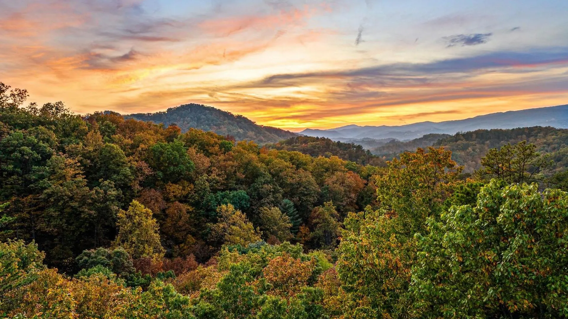 Holiday home Black Bear Ridge Resort: Awesome Views