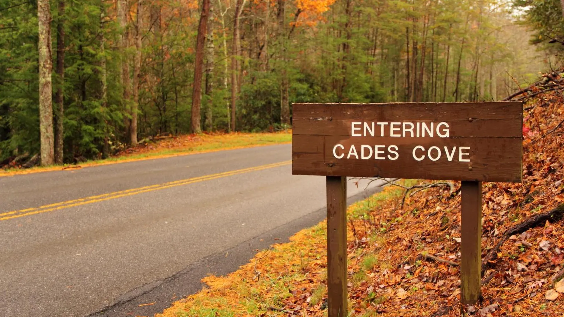 An Awesome View, Game Area, Pools, Pavilion, Free Attraction Tickets, Dollywood And More! Holiday home *