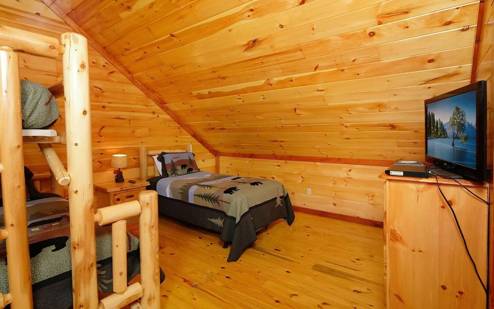 Villa Big Bear Plunge Pigeon Forge