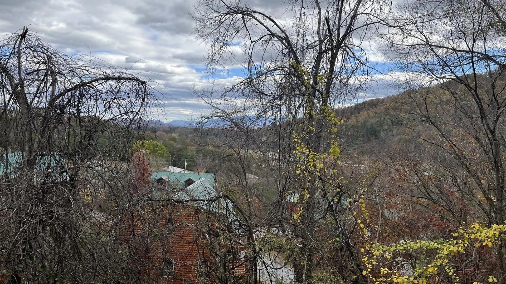 Ern860 - Cozy Bear Overlook Holiday home *