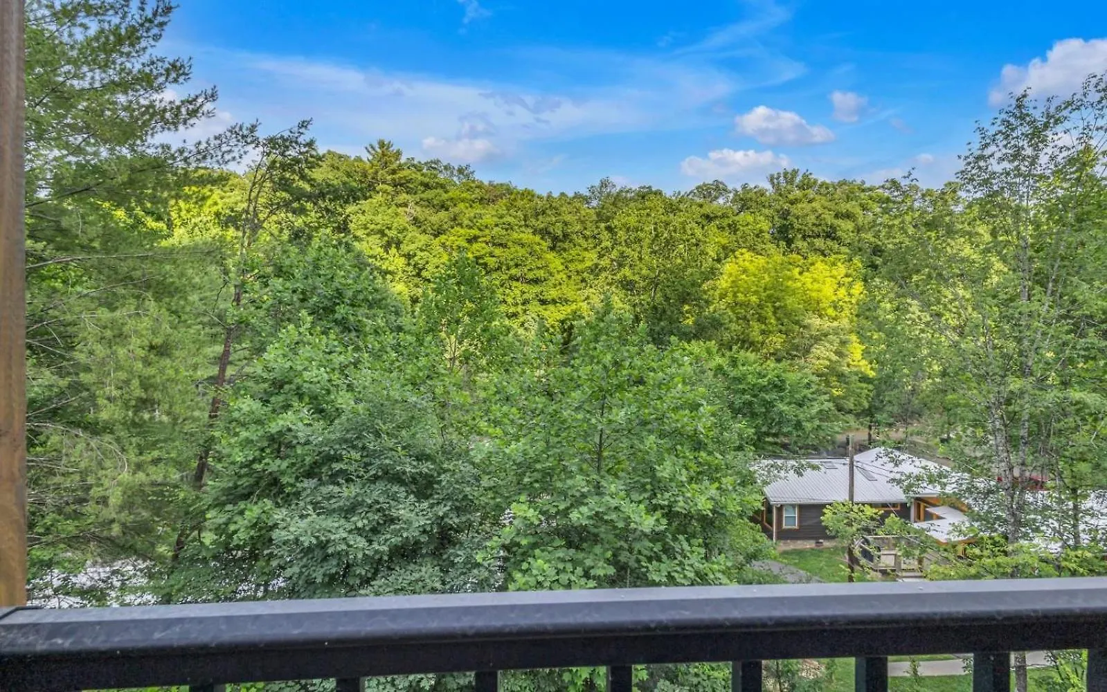 Friendly Bear Plunge Villa