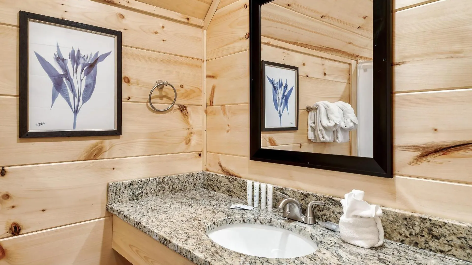 Holiday home Happy Bear Pigeon Forge