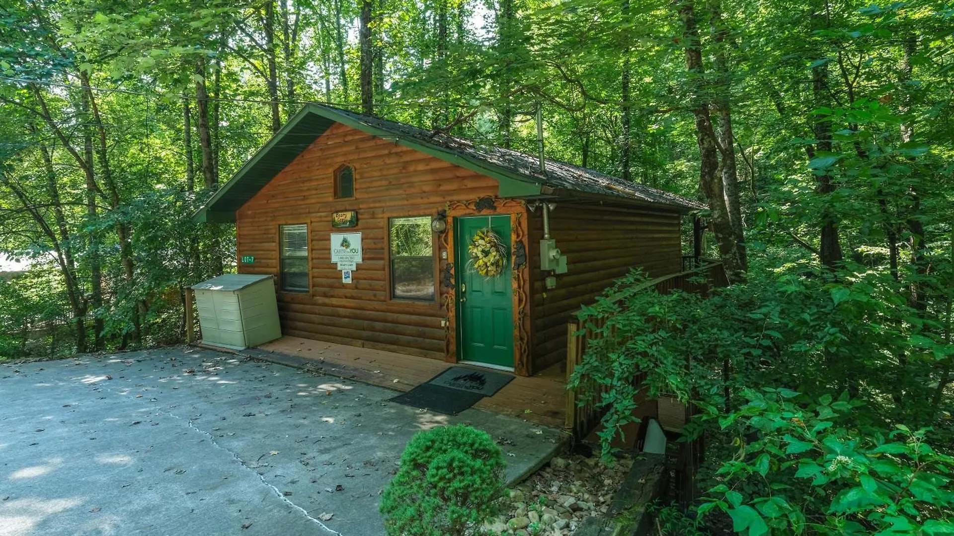 Beary Cozy Pigeon Forge