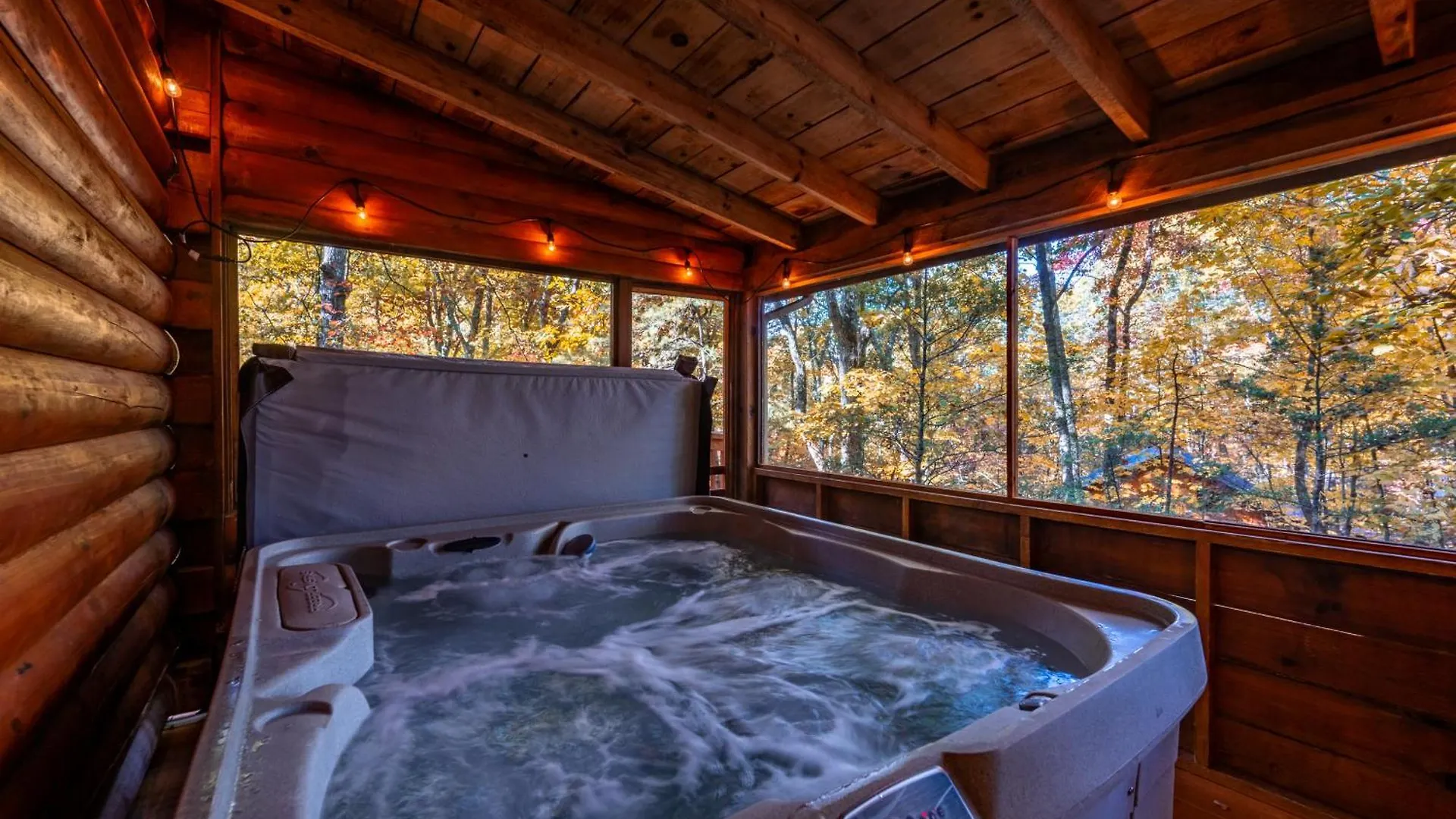 Bearolina On My Mind * Pigeon Forge