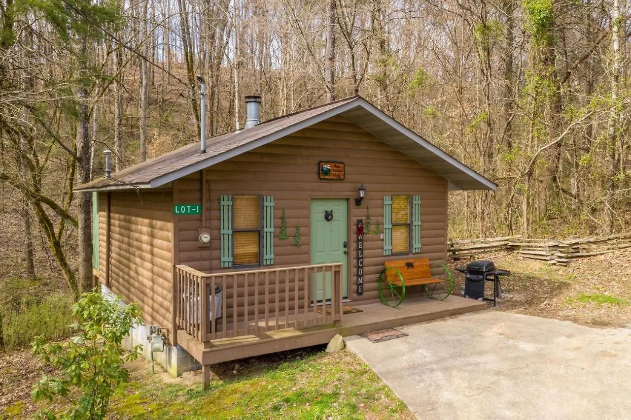 Bear Mountain Hollow-free Dollywood Ticket- Cozy With A Hot Tub, Arcade & Deck Close To Town Holiday home *