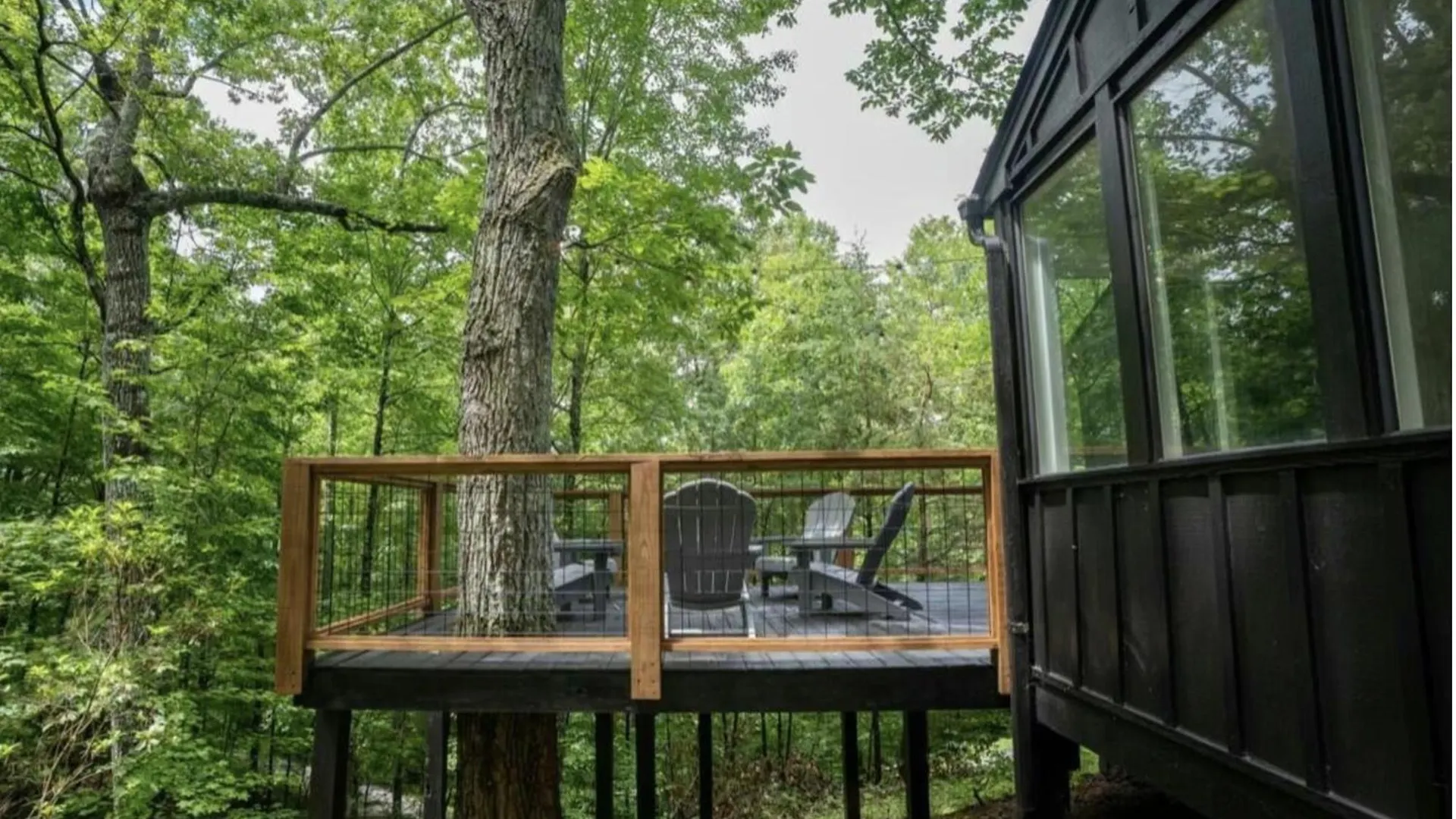 Modern Mountain Hideaway-secluded, Close To Town Holiday home Pigeon Forge