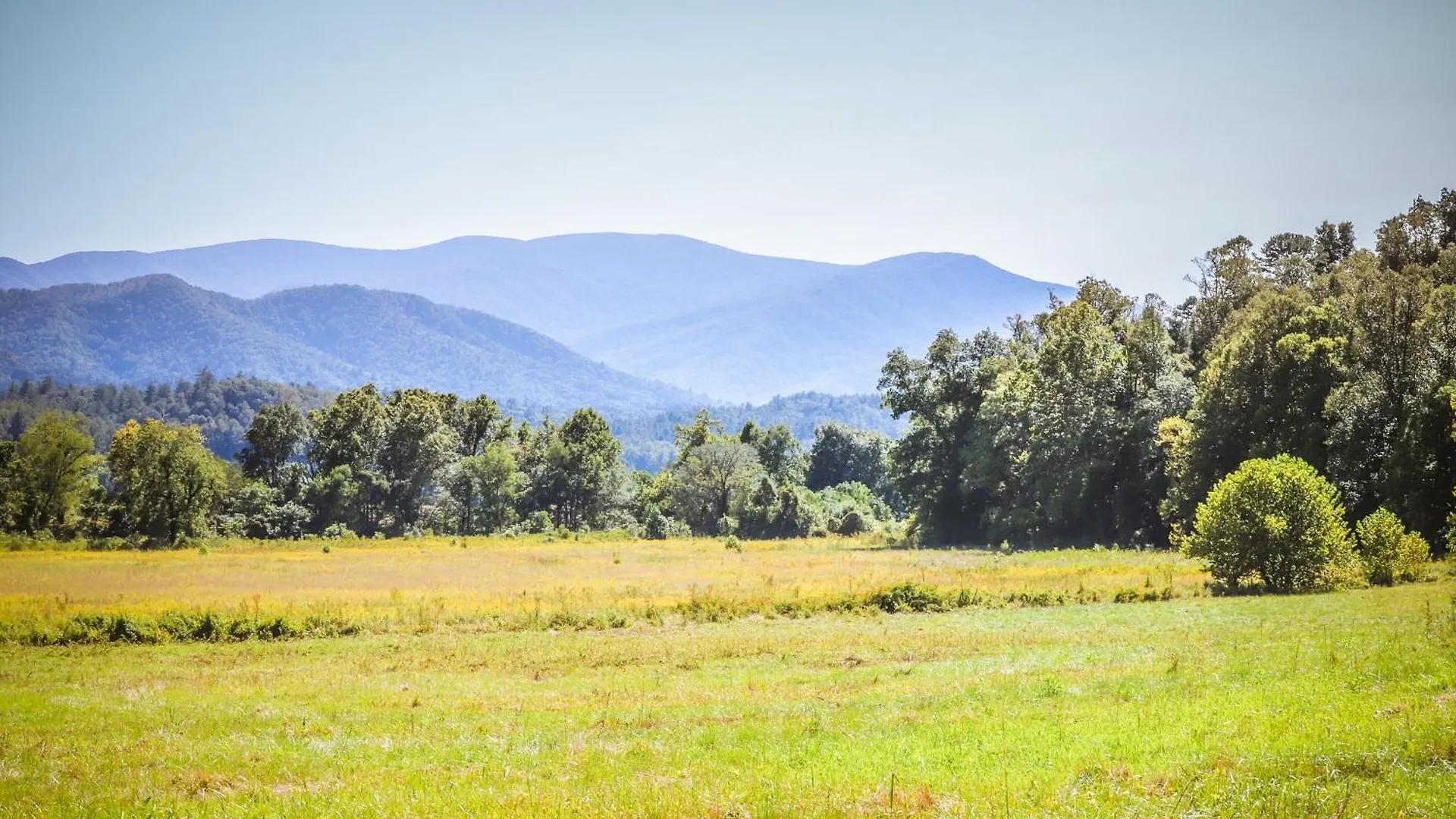 Hillbilly Highrise Tatil Evi Pigeon Forge