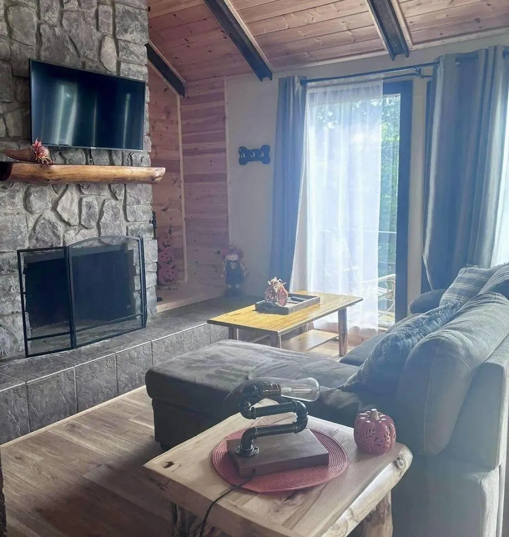 Whiskey Ridge 3 Bdrm Cabin-firepit, Fenced Yard, Hot Tub Tatil Evi