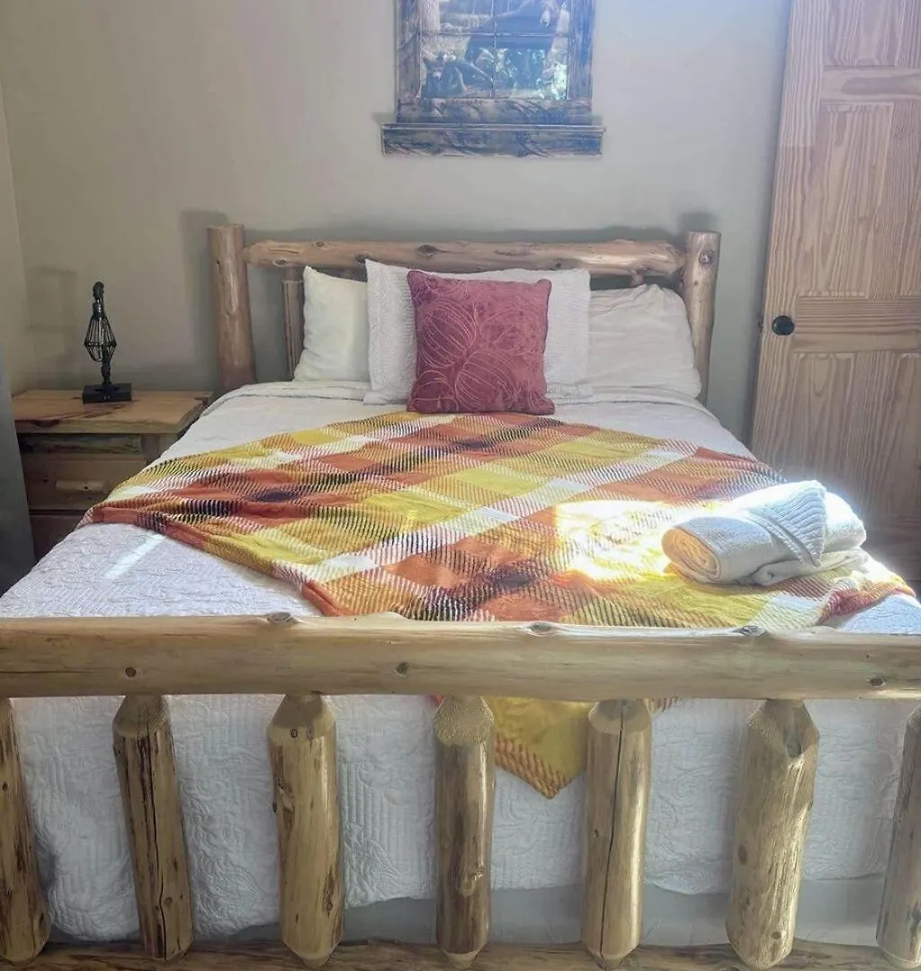 Tatil Evi Whiskey Ridge 3 Bdrm Cabin-firepit, Fenced Yard, Hot Tub *