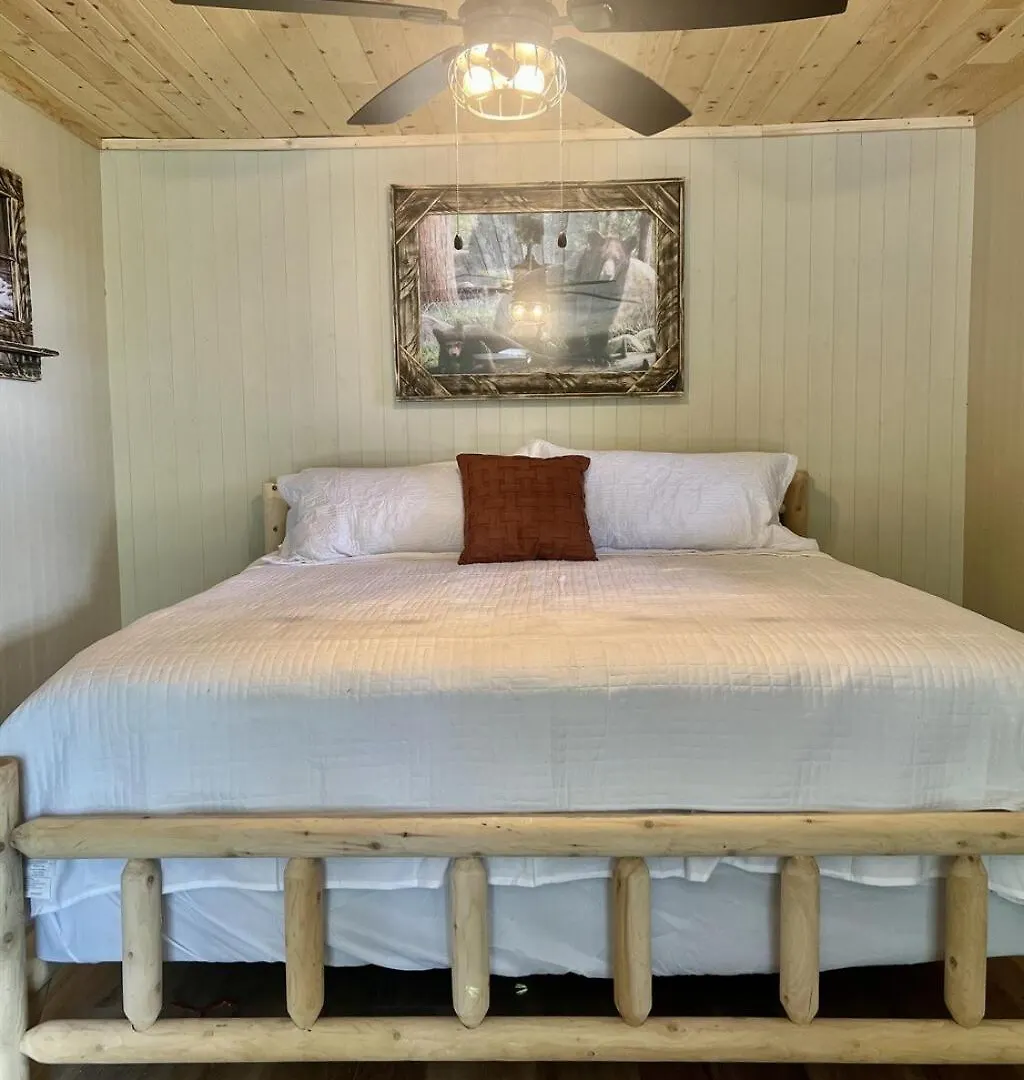 Tatil Evi Whiskey Ridge 3 Bdrm Cabin-firepit, Fenced Yard, Hot Tub *