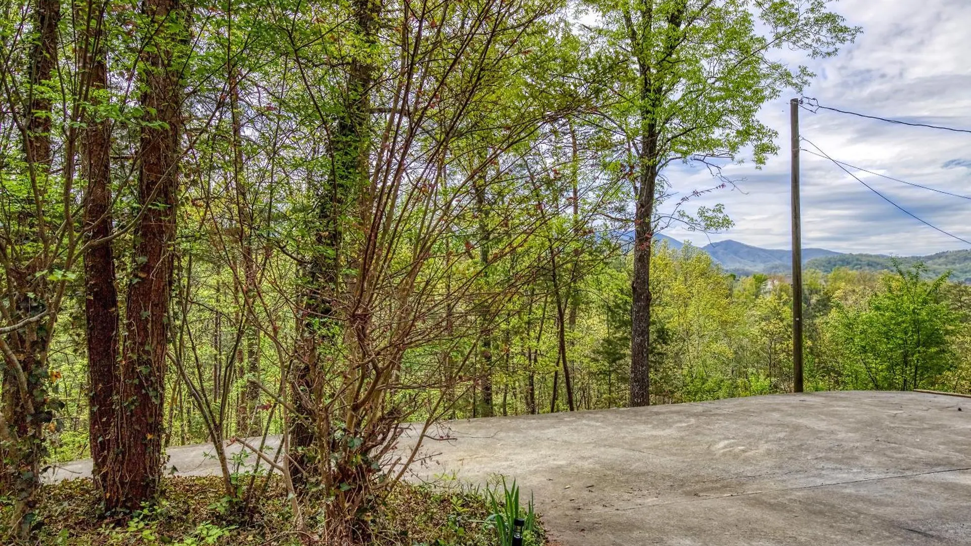 Cedar Pigeon Forge