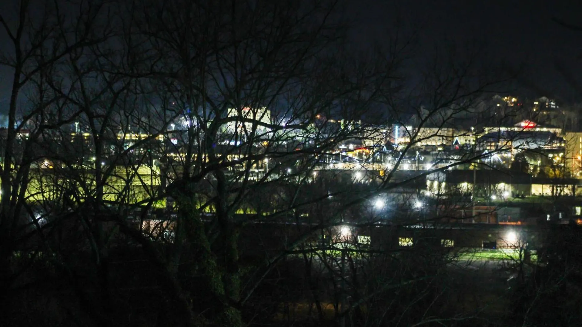 The Vicinity