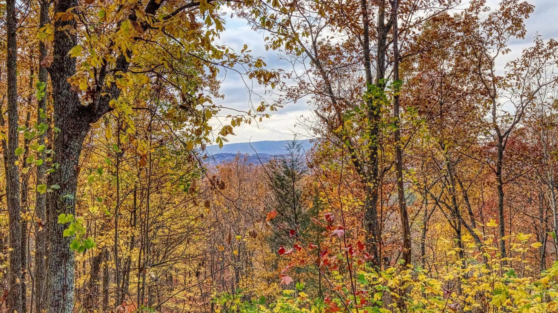 The Road Less Traveled * Pigeon Forge