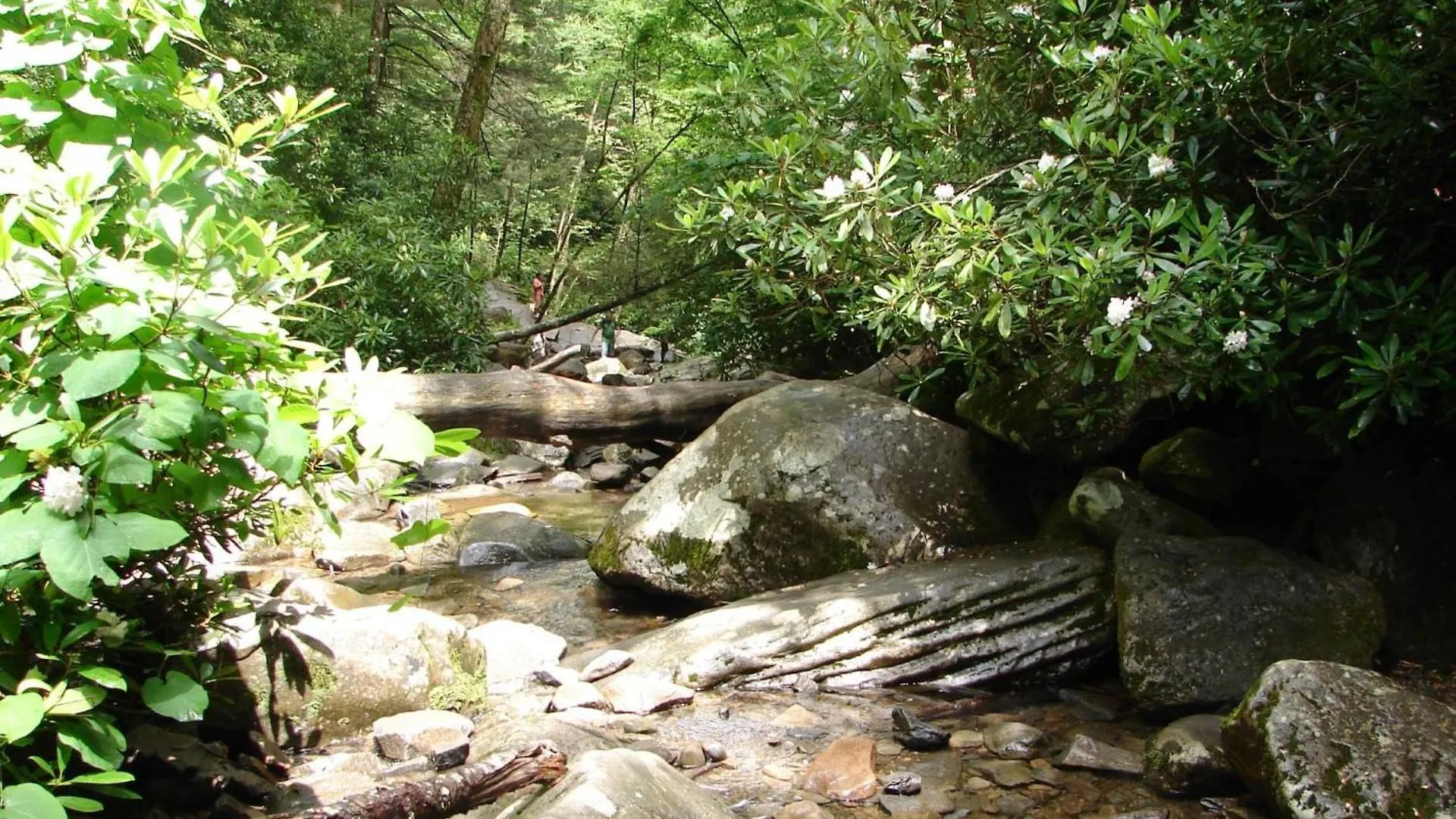 Hidden Hollow * Pigeon Forge