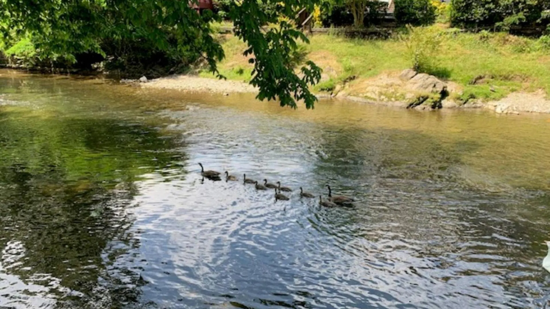 Mill Stream