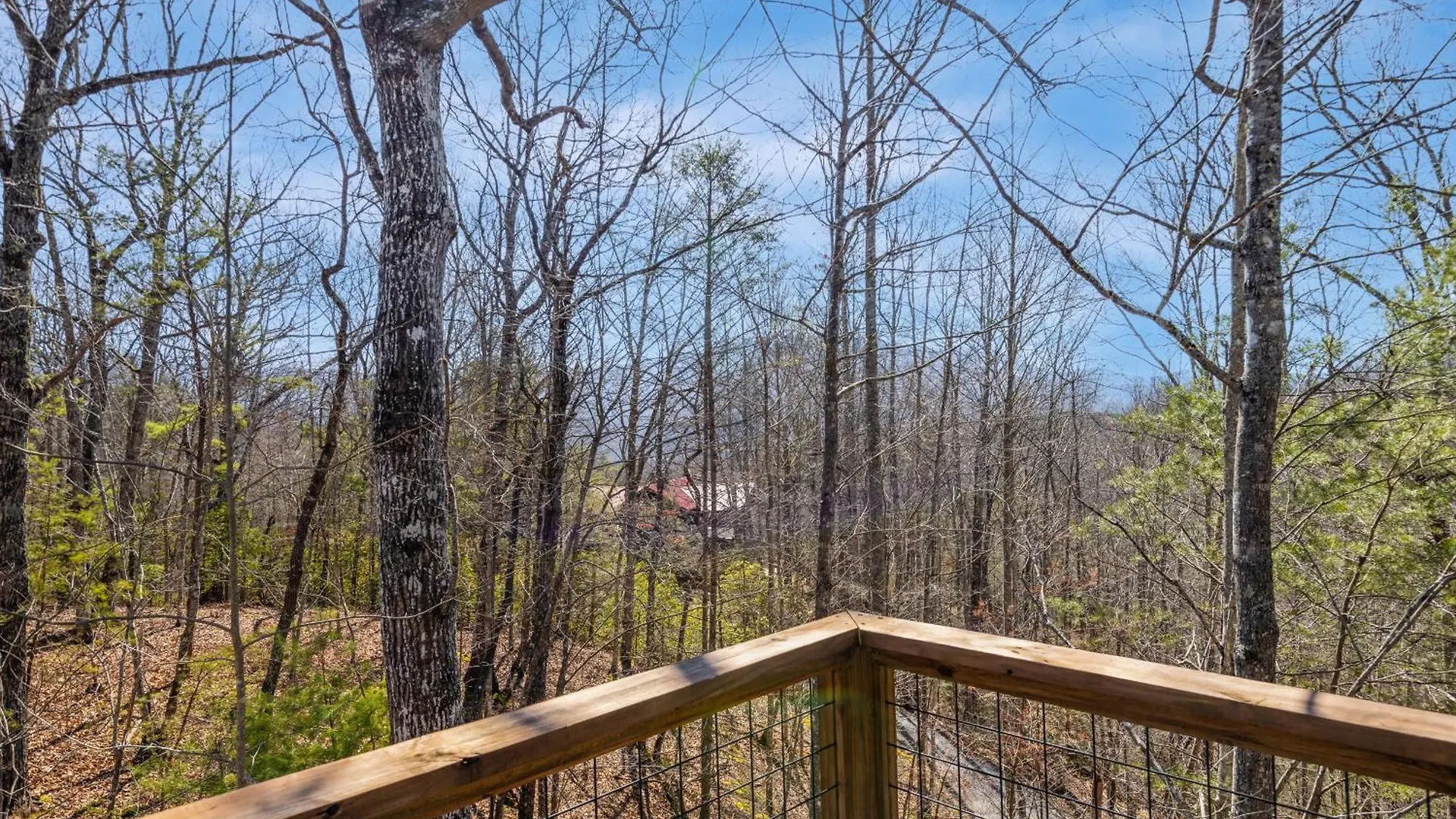 Modern Mountain Hideaway-secluded, Close To Town Holiday home Pigeon Forge