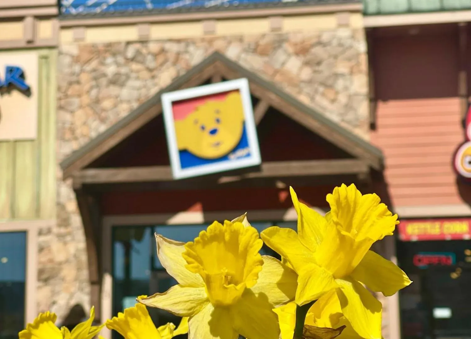 Chalet The Playful Bear Pigeon Forge