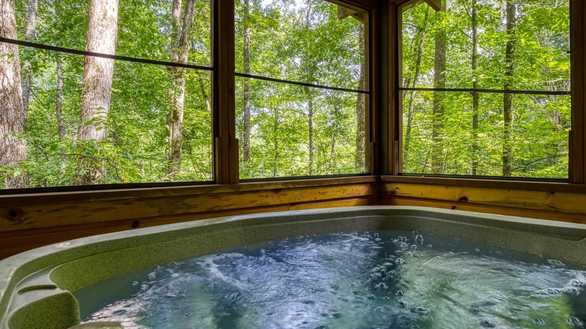 Treeside Pigeon Forge